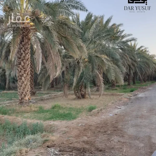 مزرعة الخليل 600x600