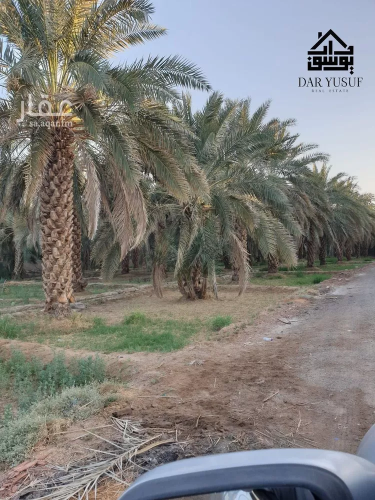 مزرعة الخليل
