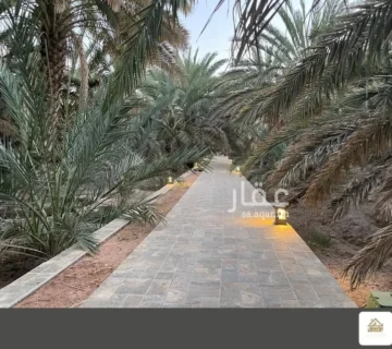 مزرعة الغابة 360x320