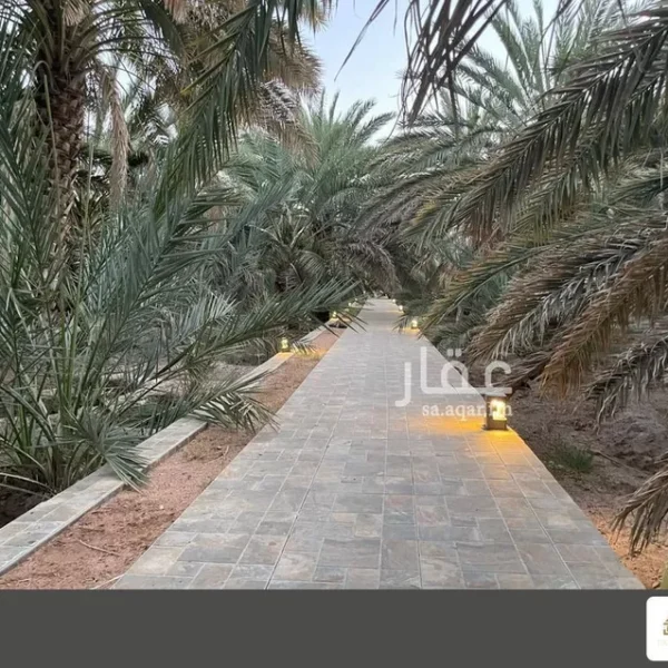 مزرعة الغابة 600x600