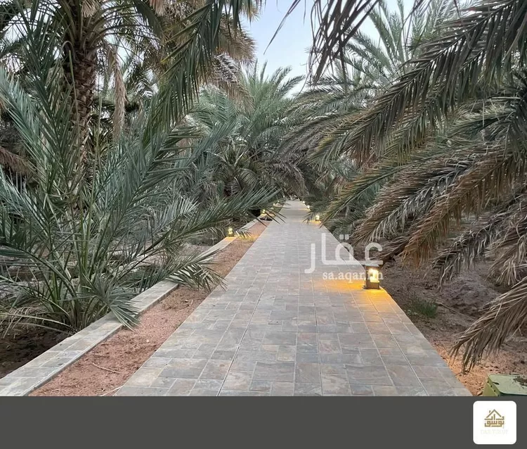 مزرعة الغابة
