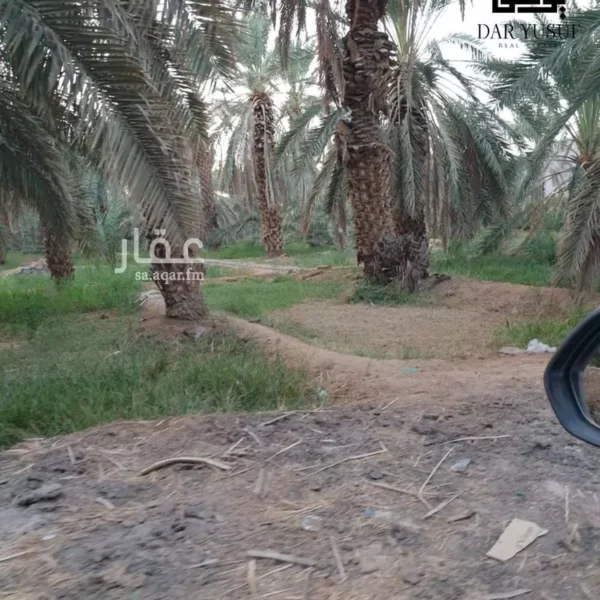 مزرعة خليل 600x600