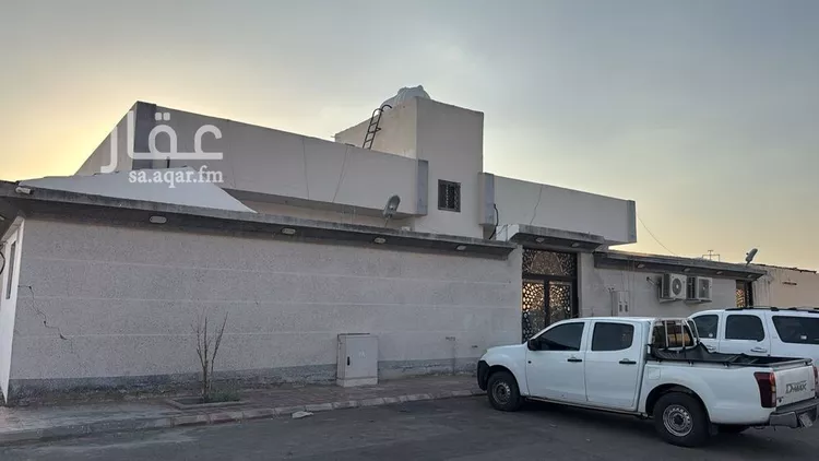 دور المطاررر